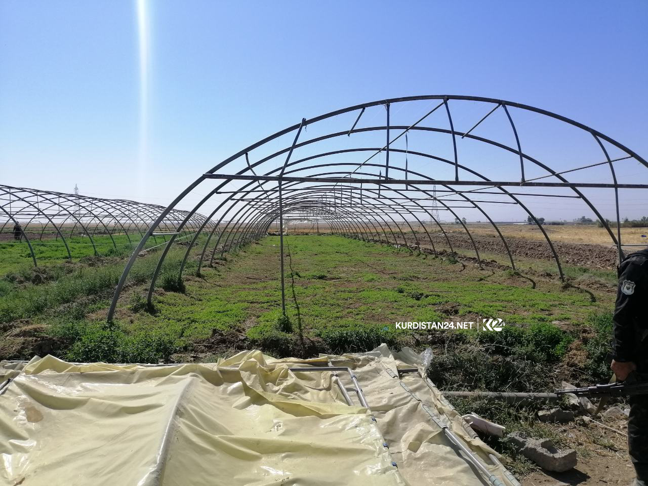 ئەو كێڵگانە دادەخرێن كە بە ئاوی پیس سەوزە و میوە بەرھەمدێنن